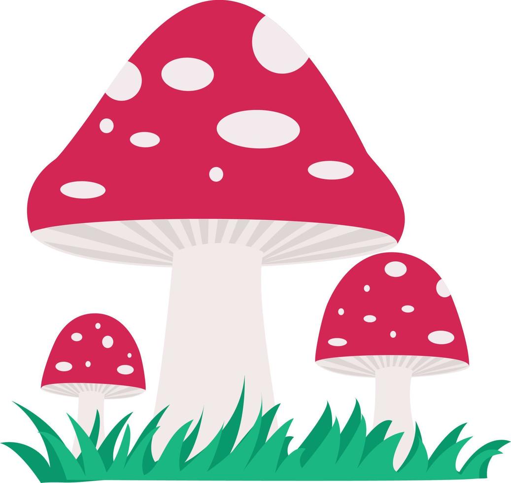 vector illustratie van vlieg zwammen met groen gras. champignons Aan een geïsoleerd wit achtergrond. vector illustratie van rood champignons met gras. illustratie van vlieg zwammen in de gras.