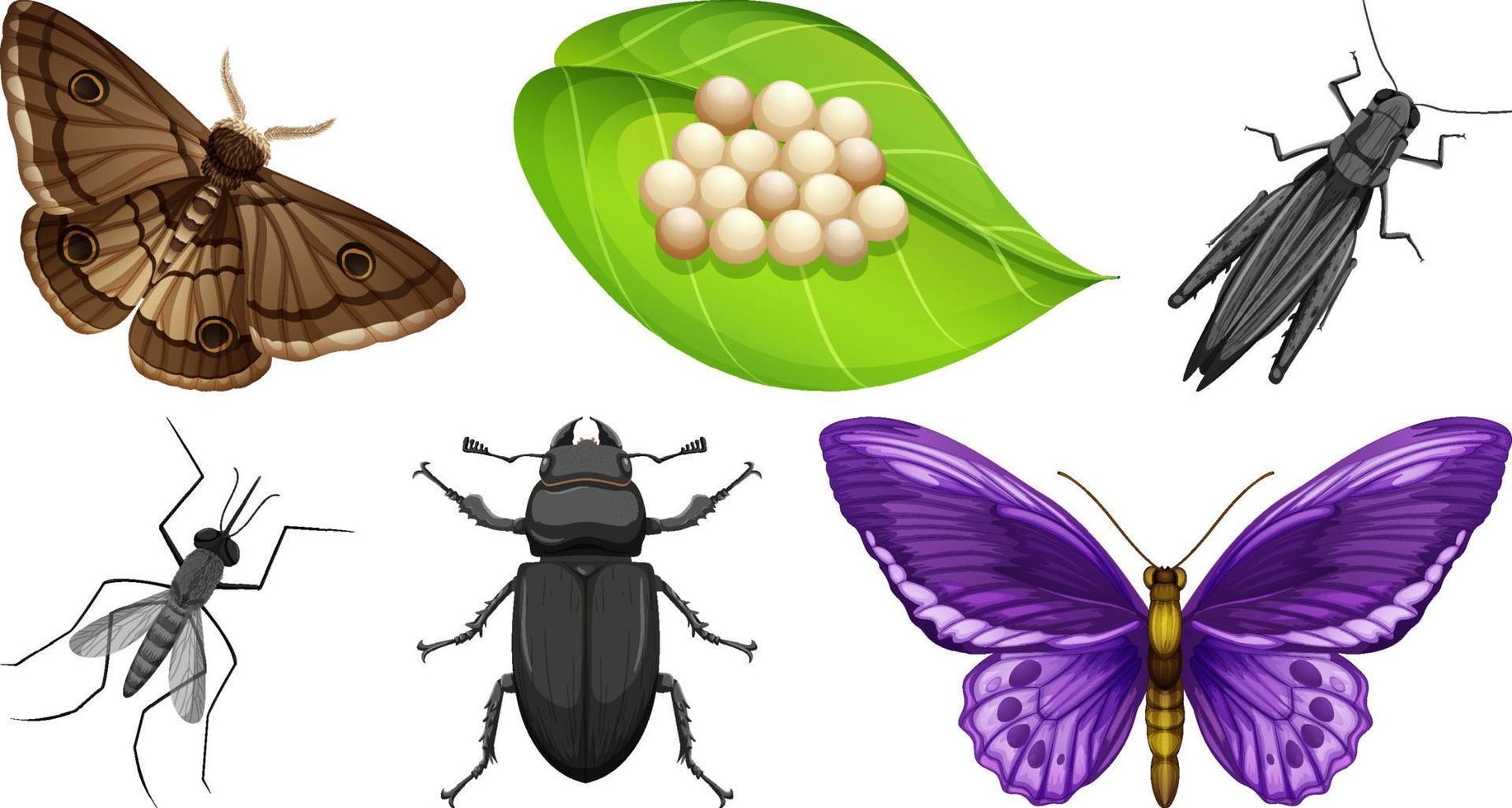 verzameling van verschillend insecten vector