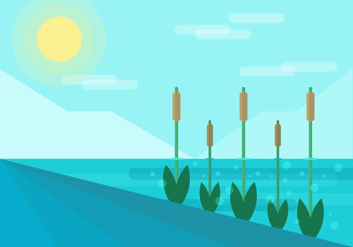 Reeds Platte Illustratie Vector