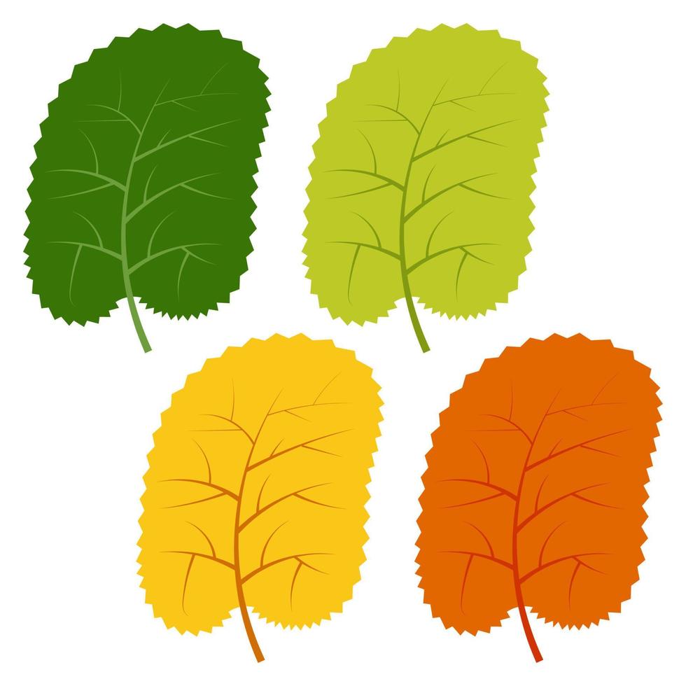 reeks van groente, geel en rood bladeren geïsoleerd Aan wit achtergrond. vector illustratie van herfst bladeren.