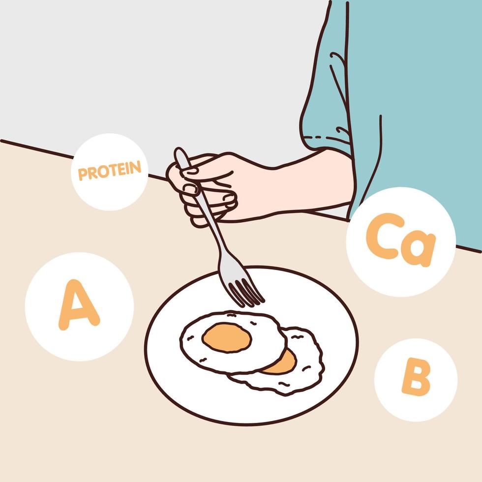 een gebakken ei ontbijt bevat eiwit, vitamine a, b vitamines en calcium, illustrator ontwerp en geïsoleerd achtergrond. vector