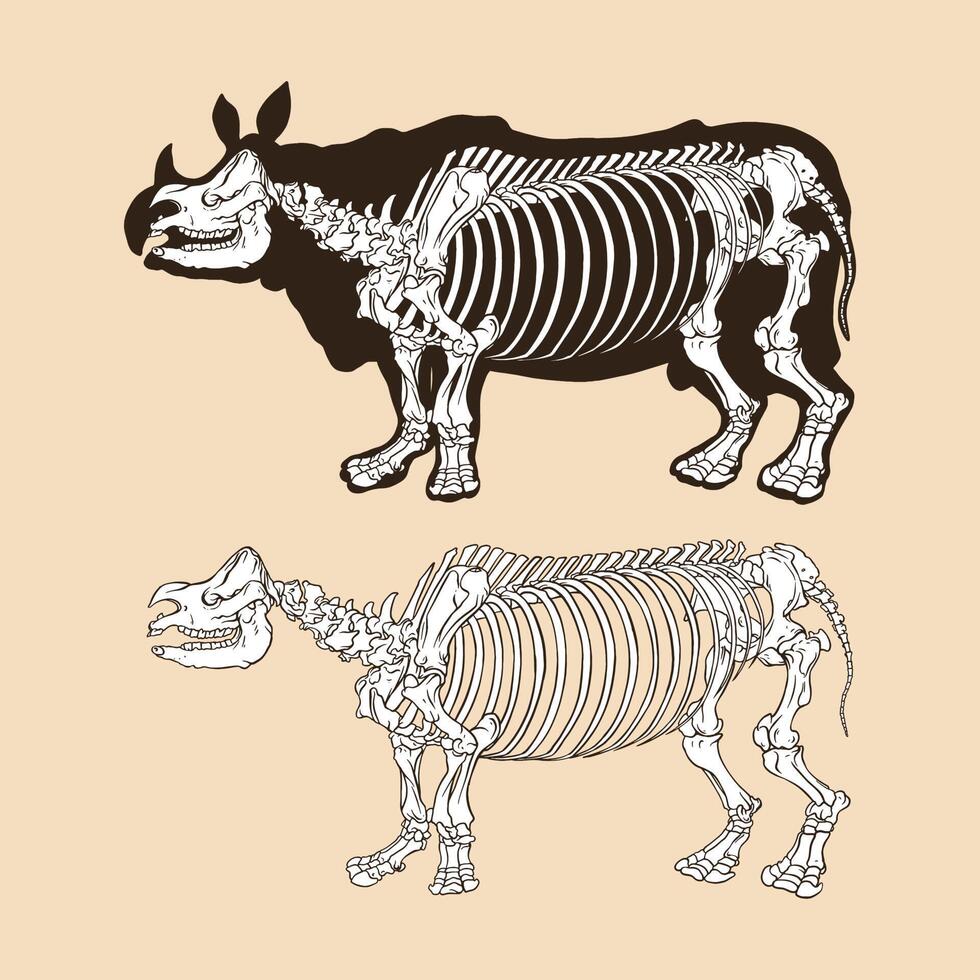 skelet neushoorn vectorillustratie vector