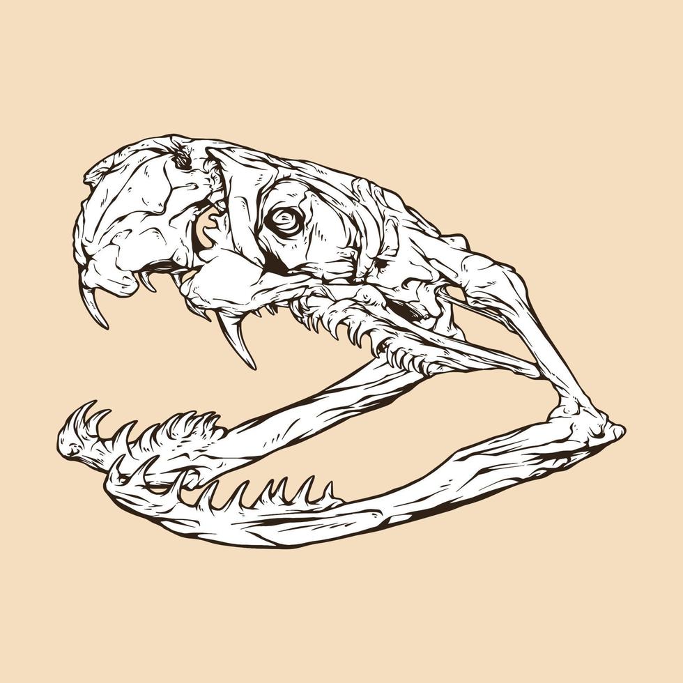 zwart mamba schedel hoofd vector illustratie