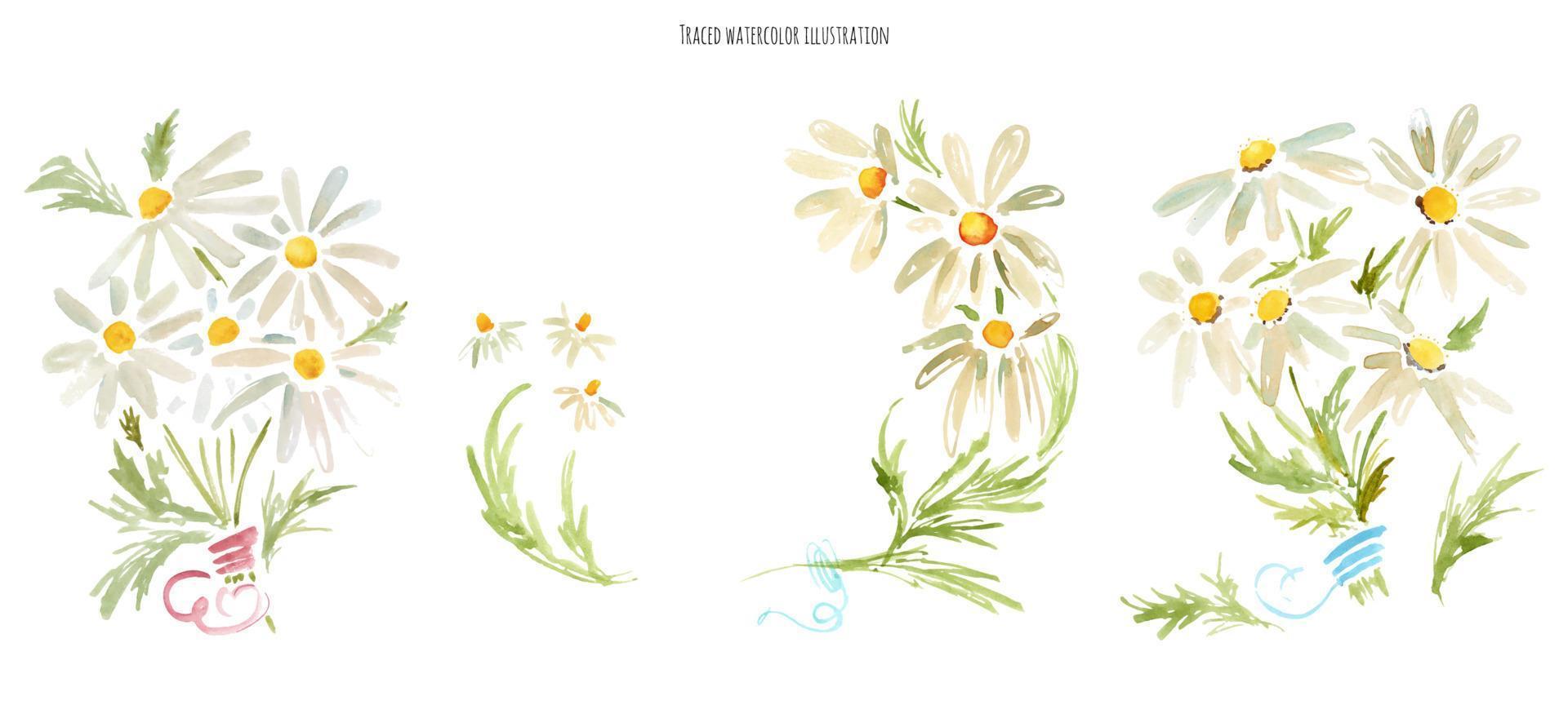 boeketten van kamille bloemen, waterverf illustratie vector