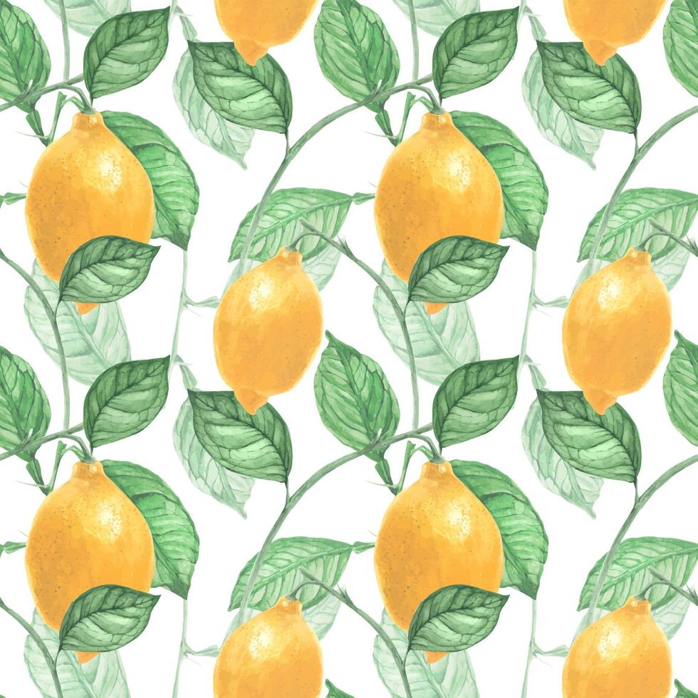 citroen fruit en bladeren naadloos patroon door getraceerd waterverf vector