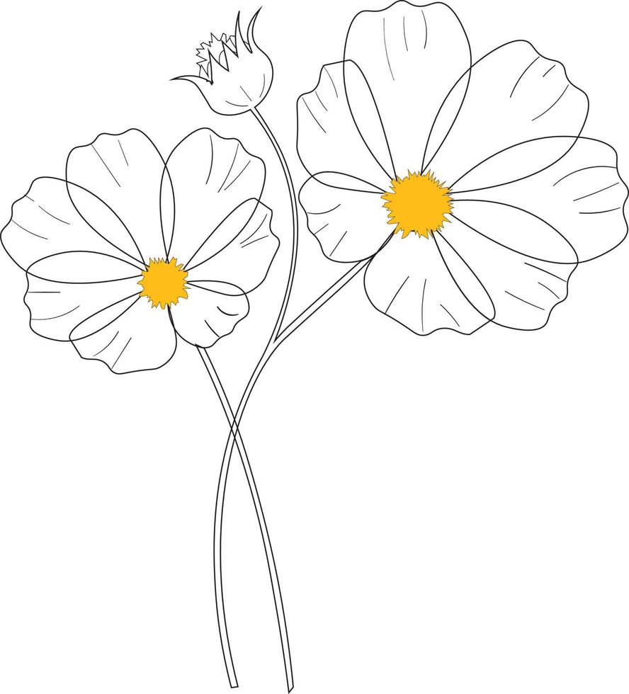 vector reeks met schets kosmos of cosmea bloem veel, overladen blad, en bloemknoppen in zwart geïsoleerd Aan wit achtergrond. pen tekening illustratie van kosmos boeket.