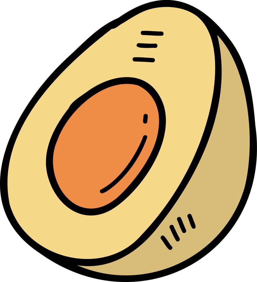 hand- getrokken gesneden avocado illustratie vector