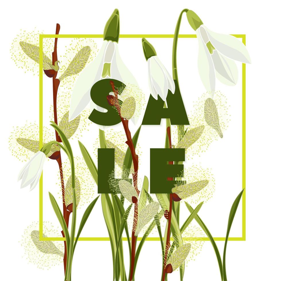 bloemen sneeuwklokjes en kutje wilg hand- getrokken gekleurde kaart. modern typografie met tekst uitverkoop vector