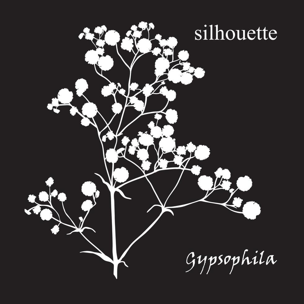 Afdeling van mooi hand getekend silhouet gypsophila vector