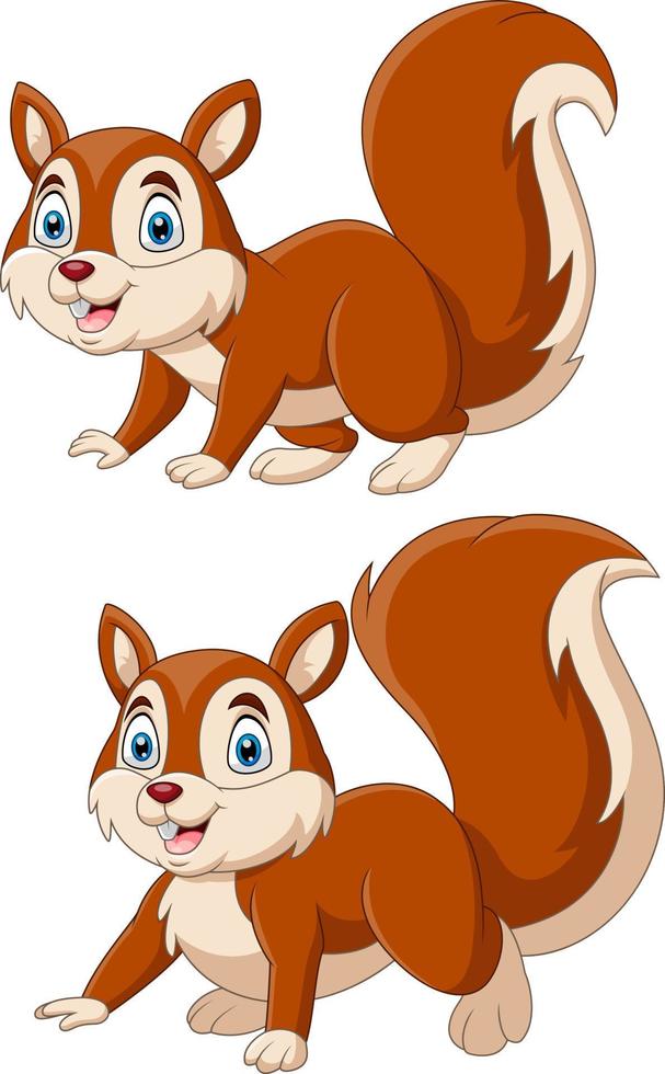 tekenfilm grappig eekhoorn een glimlach vector
