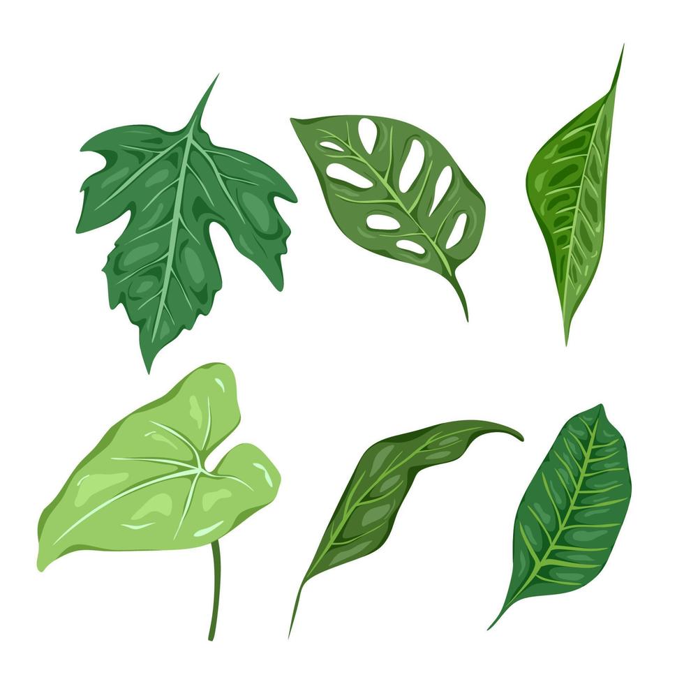 zes groen blad geïsoleerd Aan wit achtergrond. vector