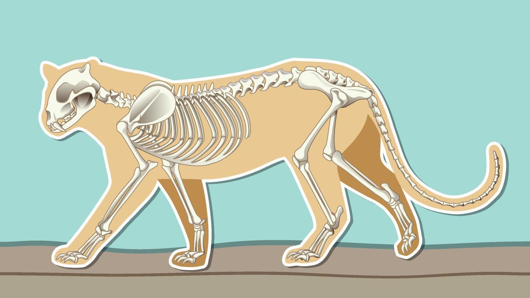 miniatuur ontwerp met skelet van luipaard vector