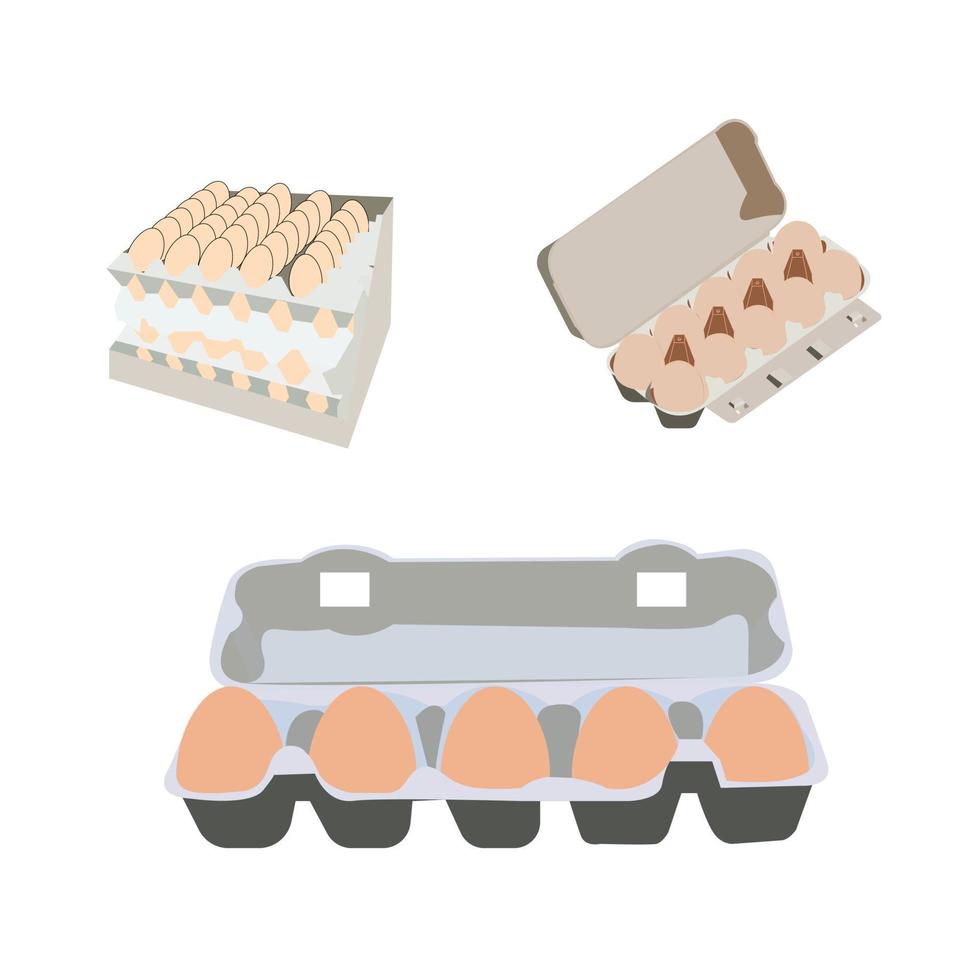 eieren in pakket geïsoleerd Aan wit achtergrond vector