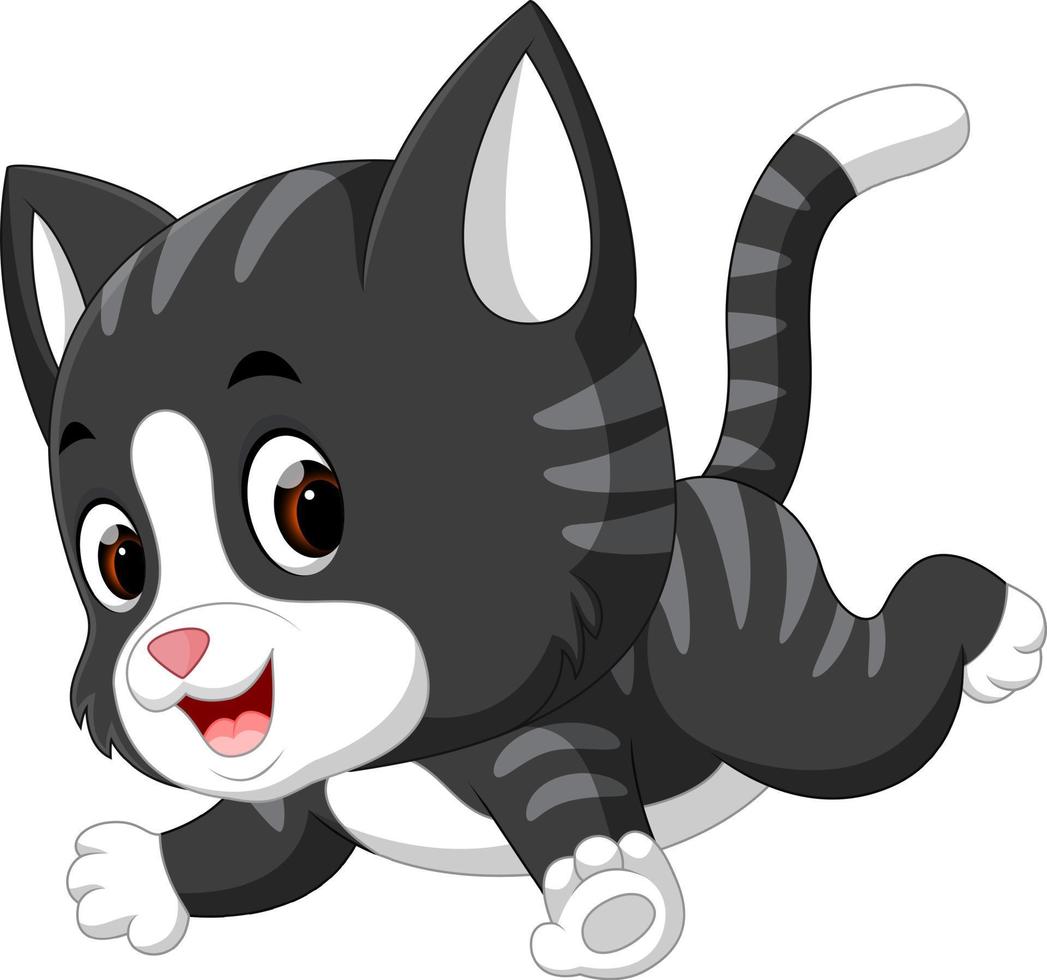 schattige kat cartoon vector