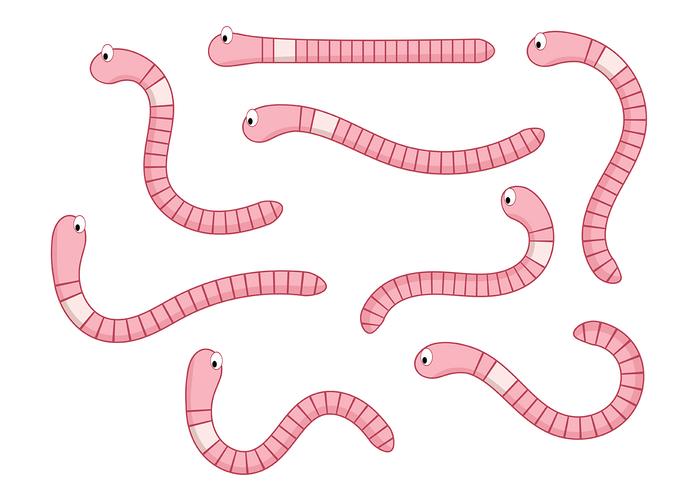 Aardworm Vector 2