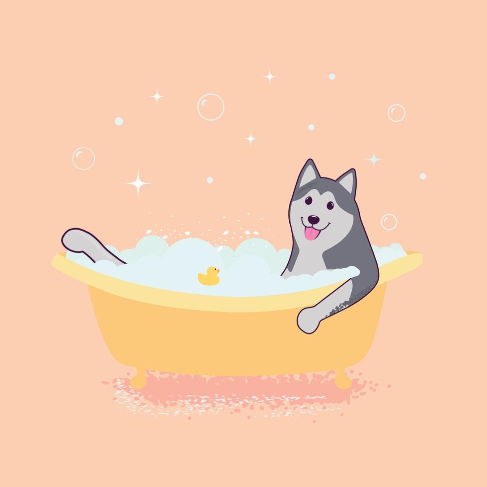 schattig schor in de bad, grappig huisdier, gelukkig hond vector