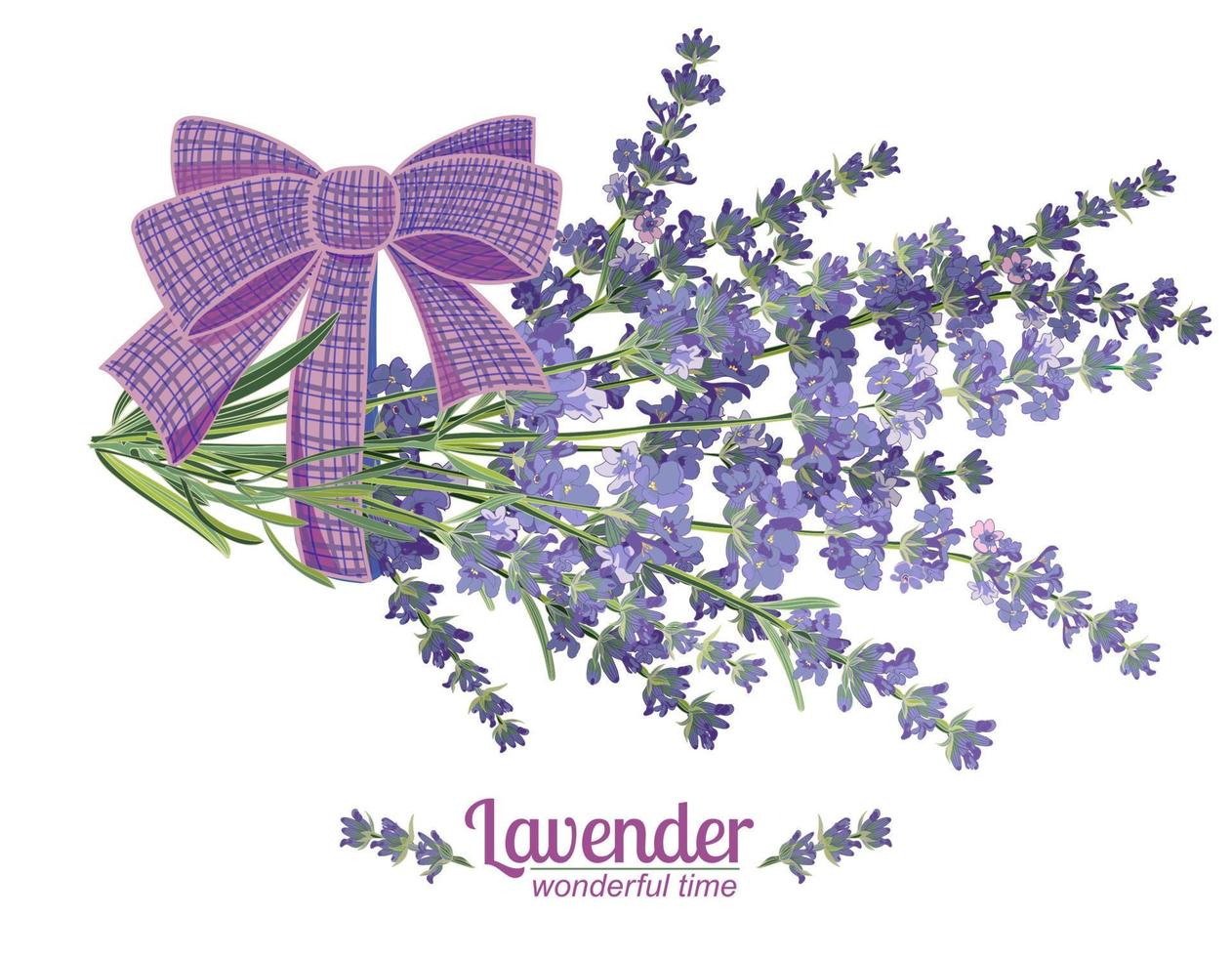 lavendel bloem Aan wit achtergrond. kleurrijk wijnoogst vector illustratie