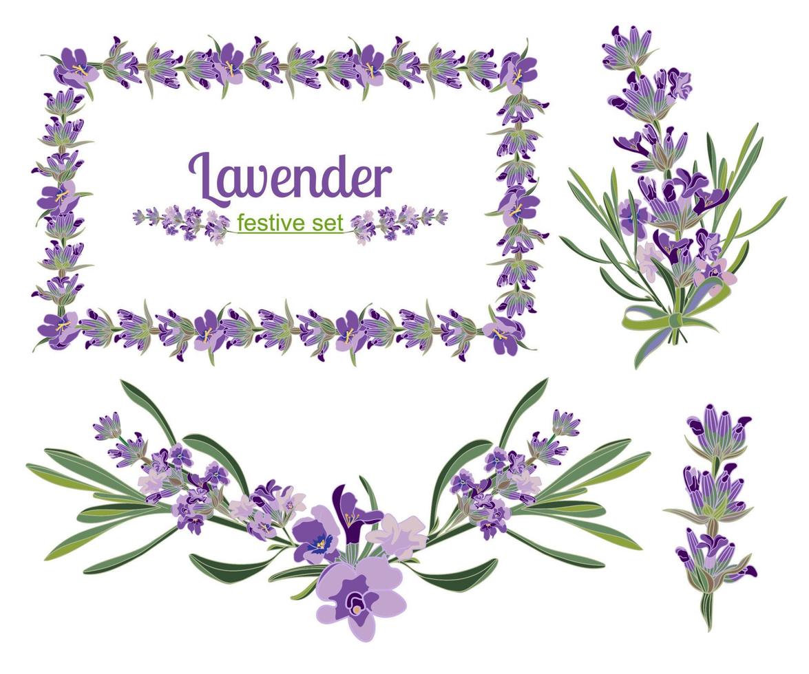 reeks feestelijk kaders en elementen met lavendel bloemen voor groet kaart. botanisch illustratie. vector