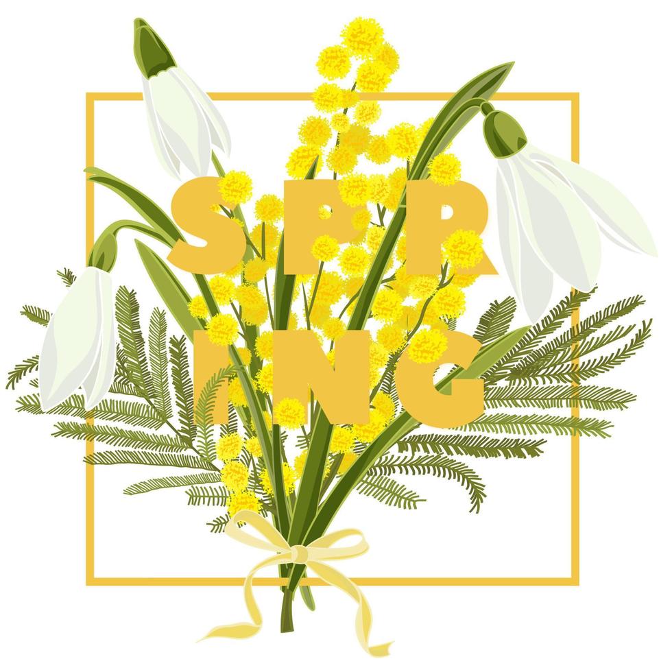 voorjaar bloemen achtergrond met mooi sneeuwklokje en mimosa bloem vector