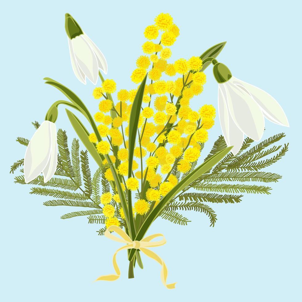 voorjaar bloemen achtergrond met mooi sneeuwklokjes en mimosa bloem vector