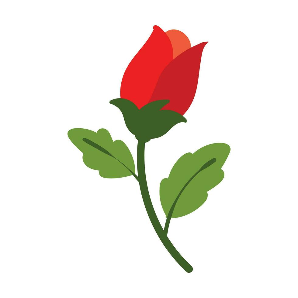 een mooi rood roos vector