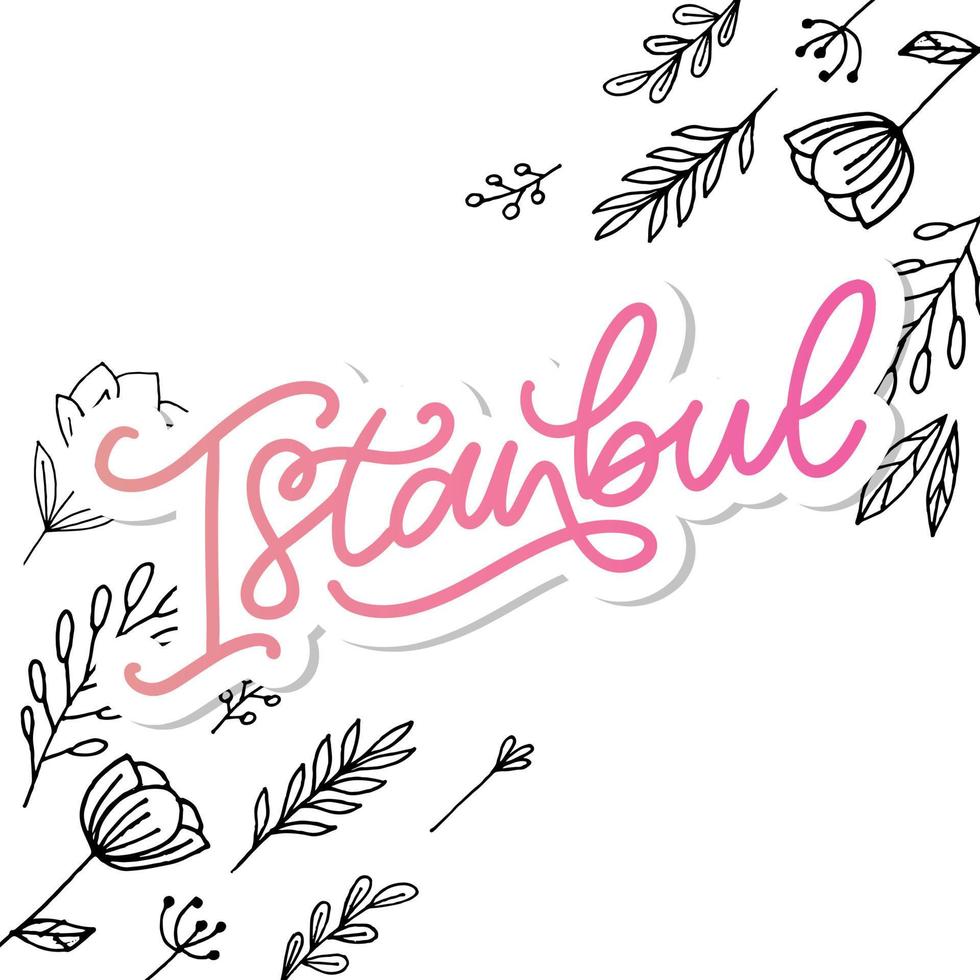 Istanbul. hand belettering. vector logo van istanbul in zwarte kleur met meeuwen op witte achtergrond. souvenirproducten, bannerembleem, reisblog sociale media, brochure, flyer. digitale illustratie.