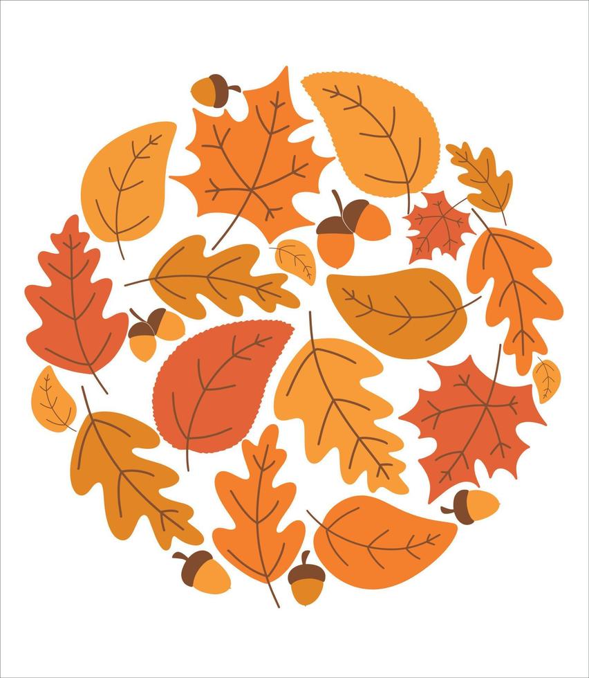 veelkleurig herfst bladeren en eikels verzameld in een cirkel. sjabloon voor decoratie. seizoensgebonden achtergrond. vector illustratie ontwerp.