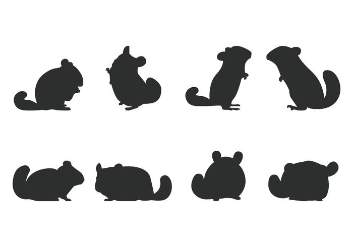 Chinchilla Silhouet vector