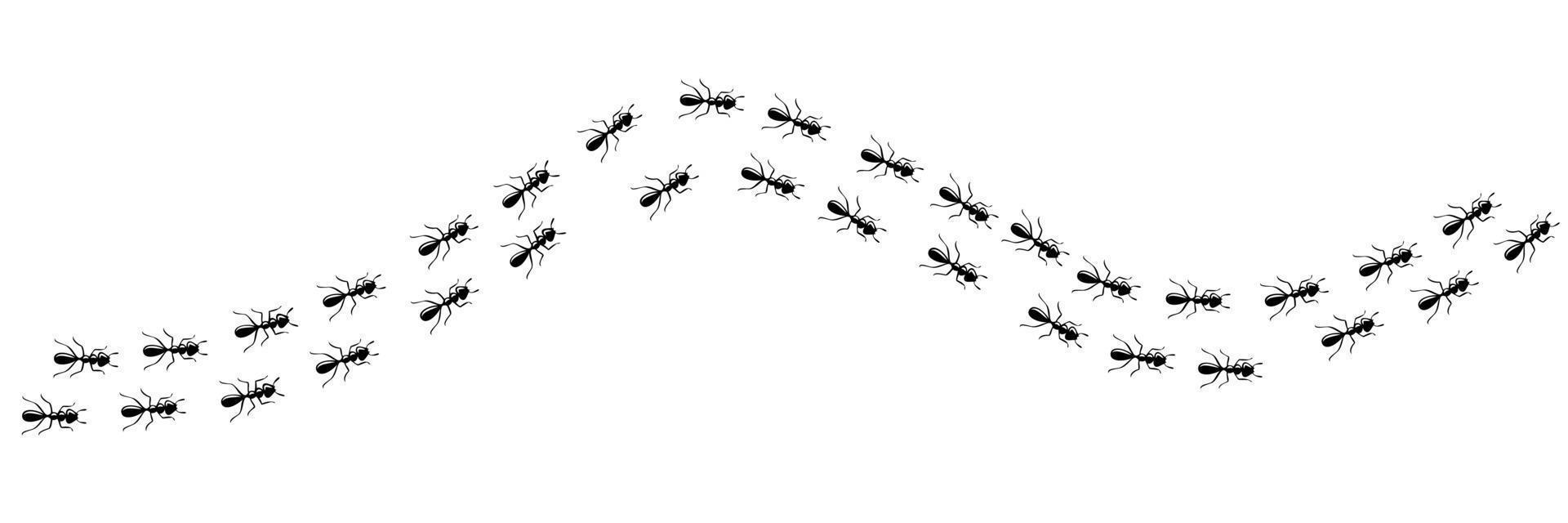 mieren spoor kromme. mier pad geïsoleerd in wit achtergrond. vector illustratie