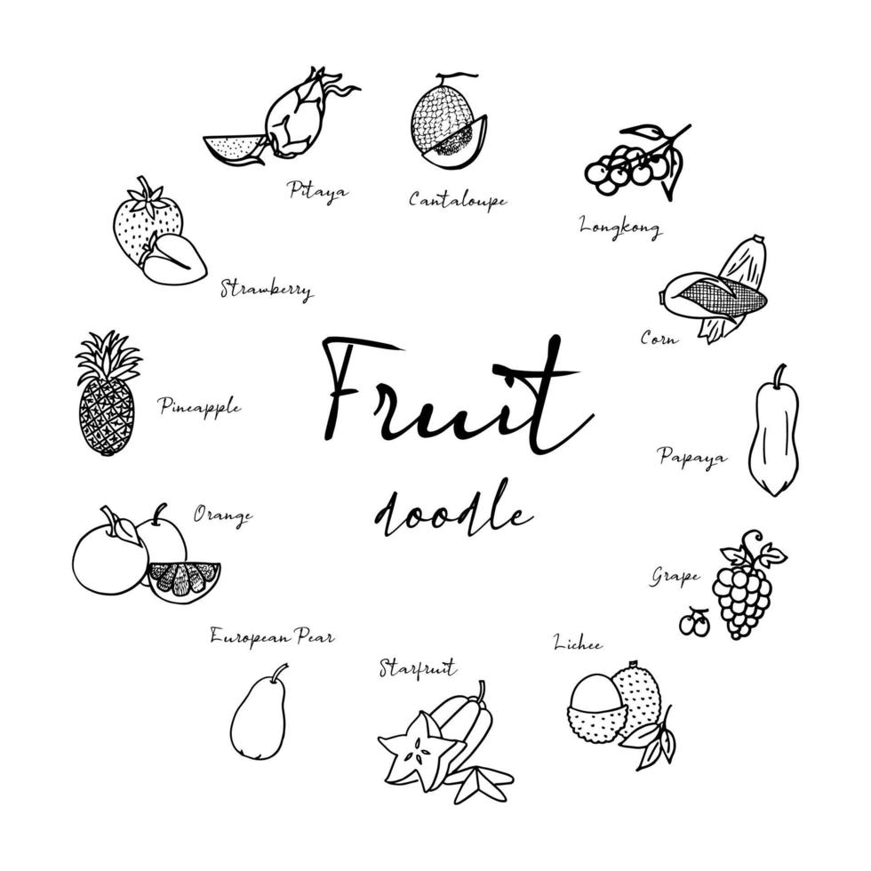 fruit schetsen in zwart tekening tekening vrij hand- vector Aan wit achtergrond