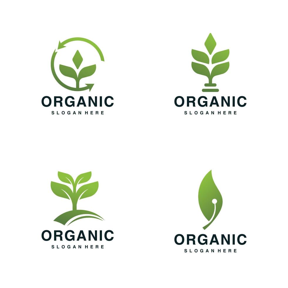 reeks van ecologie logo icoon met modern vertrekken en biologisch concept ontwerp premie vector