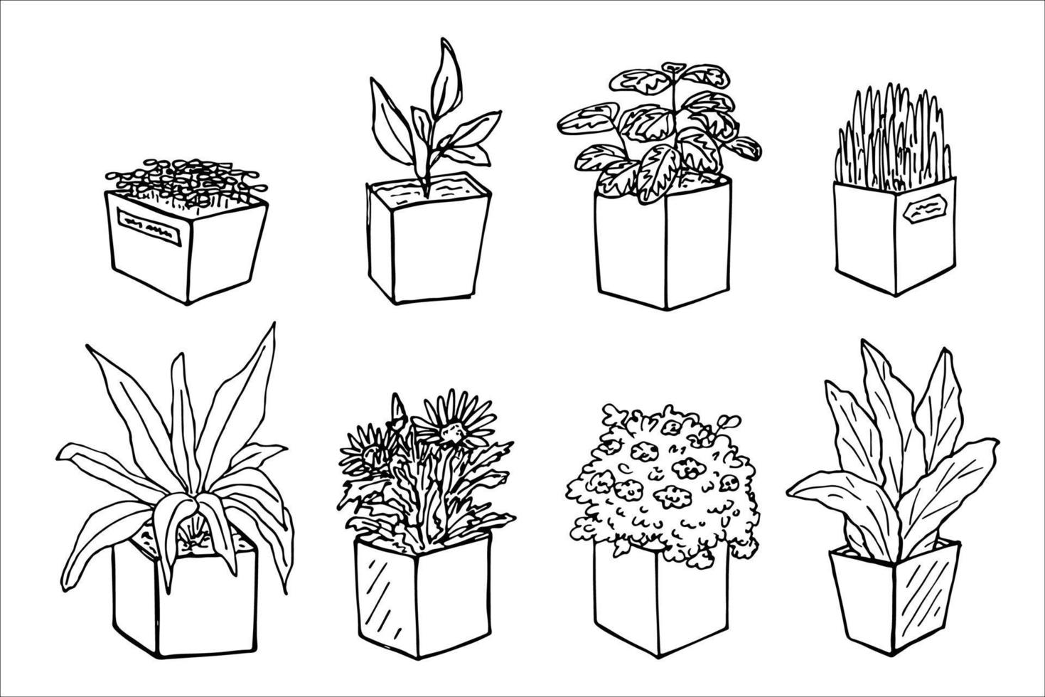 schattig hand- getrokken kamerplant in een pot clip art. fabriek illustratie. knus huis tekening reeks vector