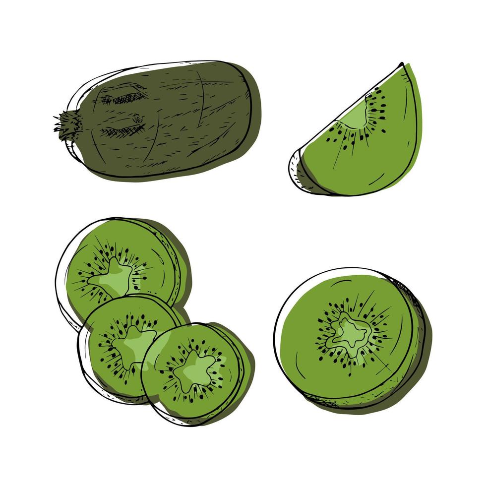 hand- getrokken vector kiwi fruit