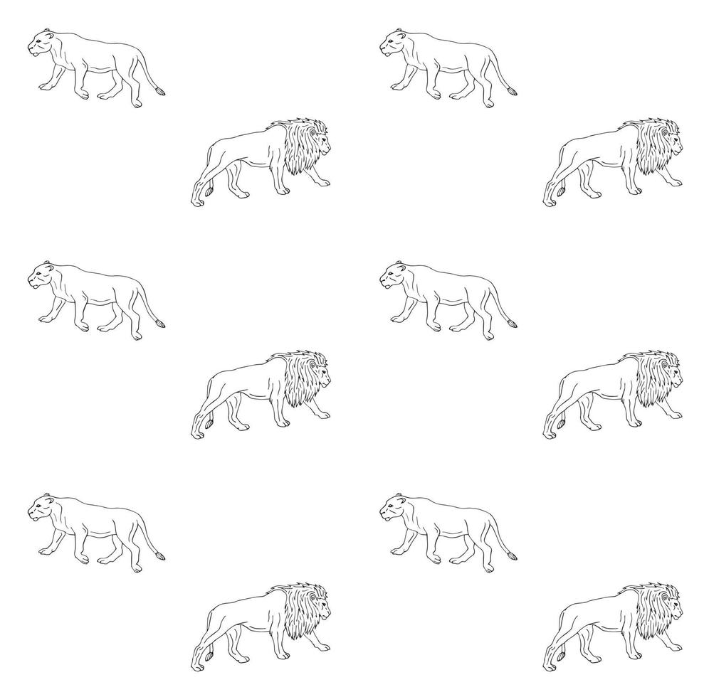 patroon van leeuwen vector