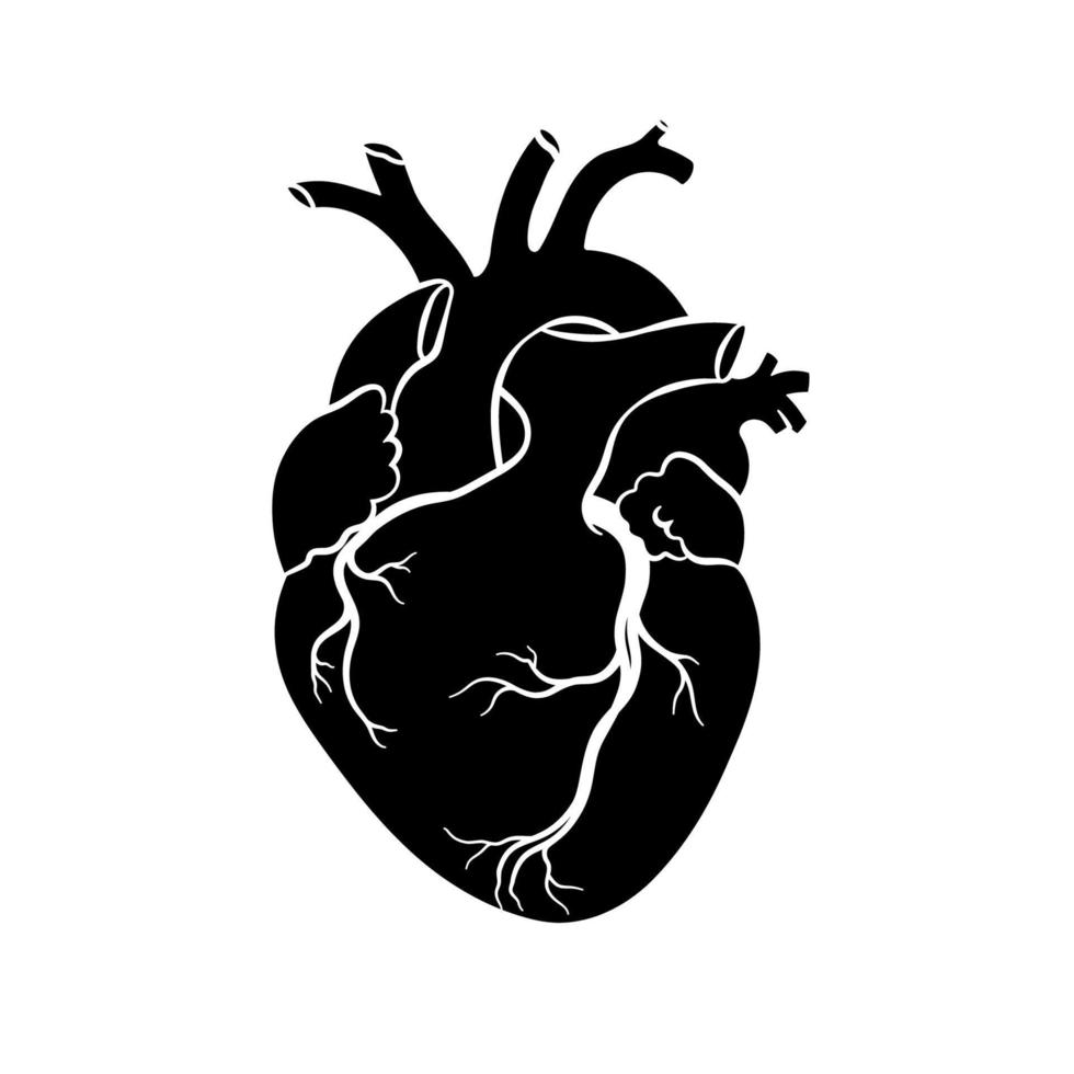 menselijk hart. anatomisch realistisch hart icoon, vector illustratie