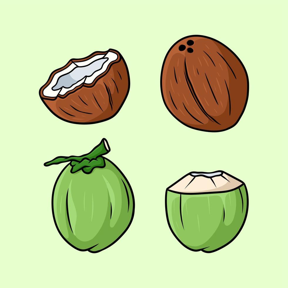 allemaal soorten van kokosnoot reeks tekenfilm vector