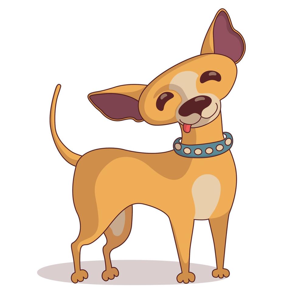 staand chihuahua in halsband vector