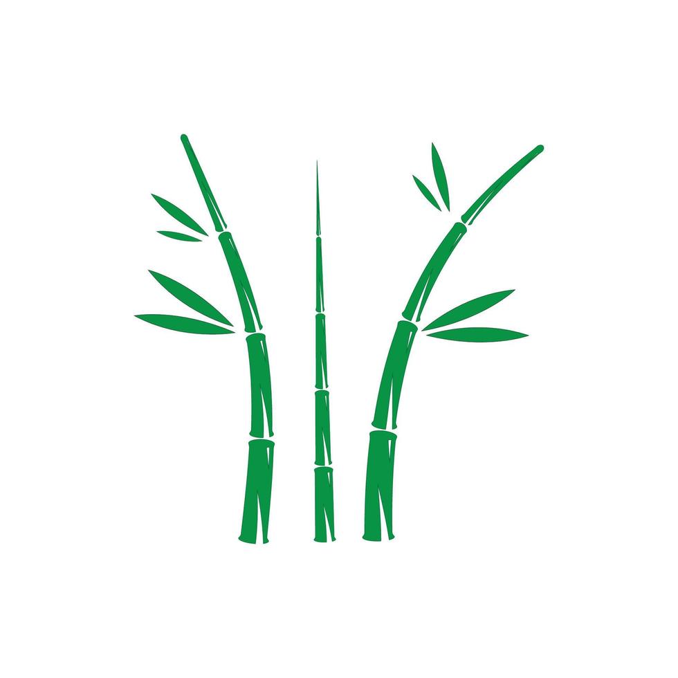 bamboe met groen blad vector