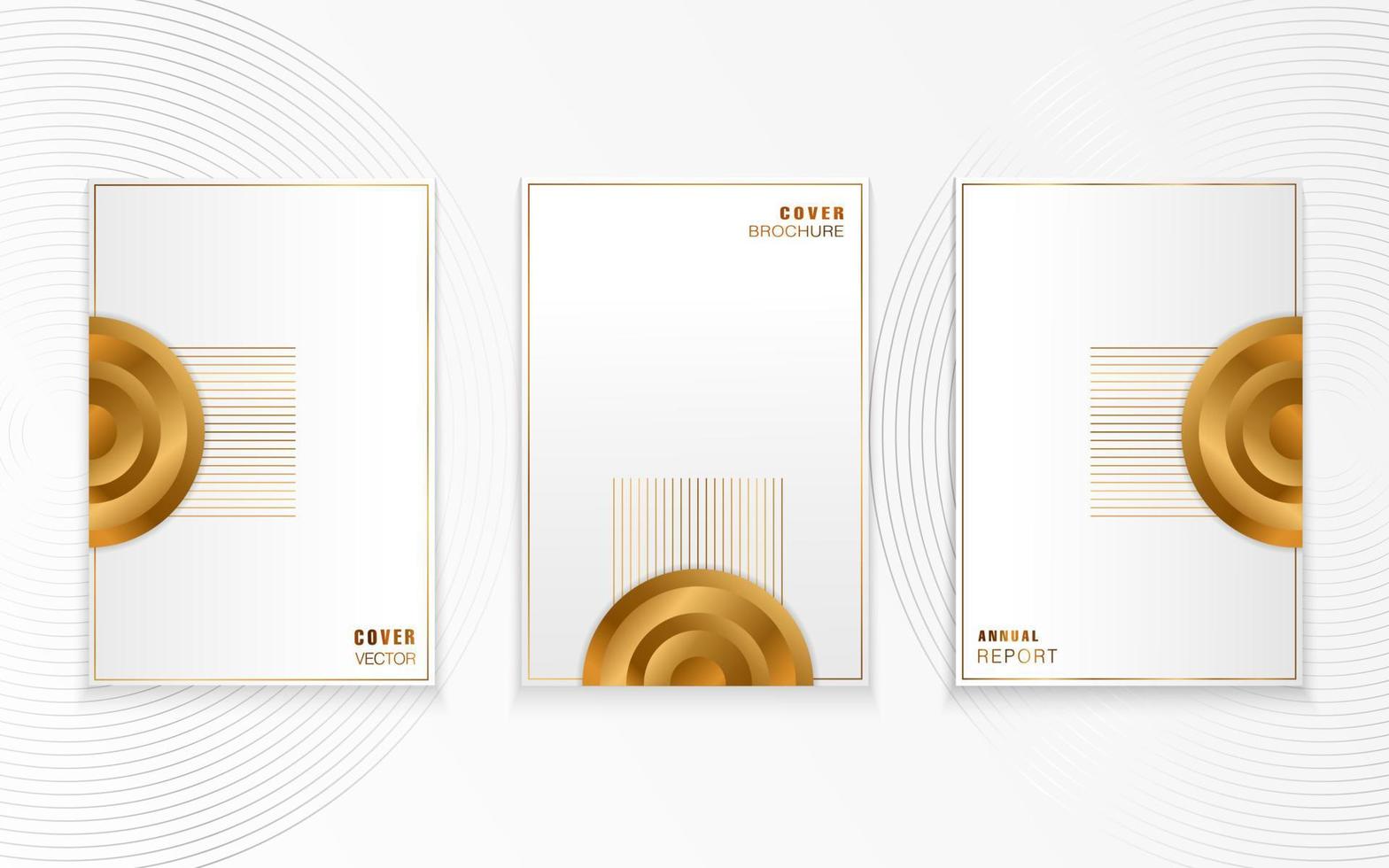 elegant goud en zilver Hoes ontwerp vector