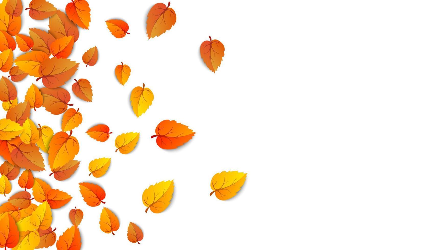 naadloos herfst bladeren horizontaal banier geïsoleerd Aan wit achtergrond. reclame sjabloon met gouden herfst blad. vallen seizoen kleuren patroon. herfst- natuur gebladerte behang kader. vector