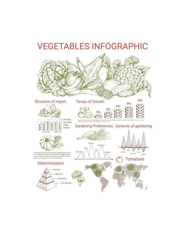 groente infographics ontwerp met grafieken vector