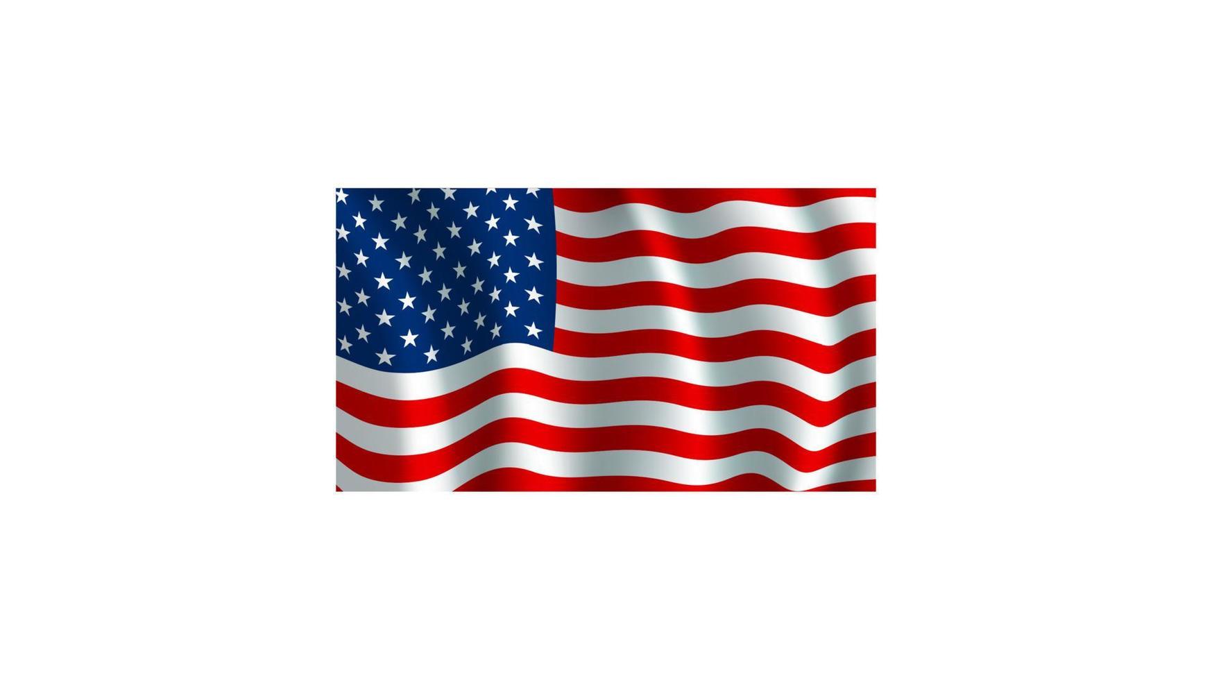 vector vlag van Verenigde Staten van Amerika. Amerikaans nationaal symbool