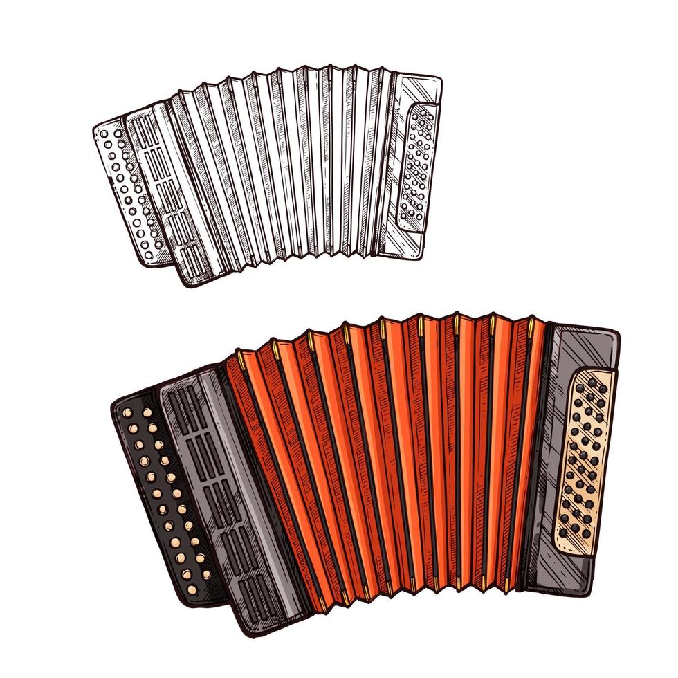 vector schetsen accordeon musical instrument