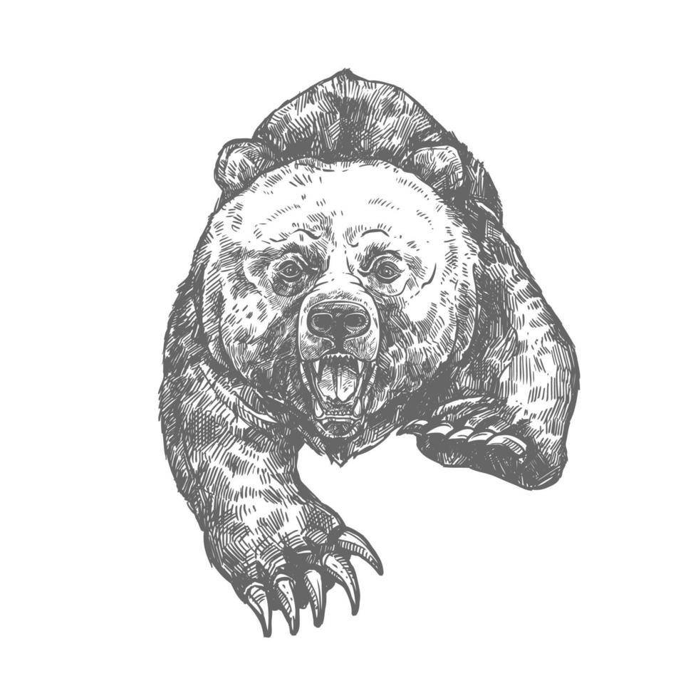 beer aanval geïsoleerd schetsen van agressief dier vector