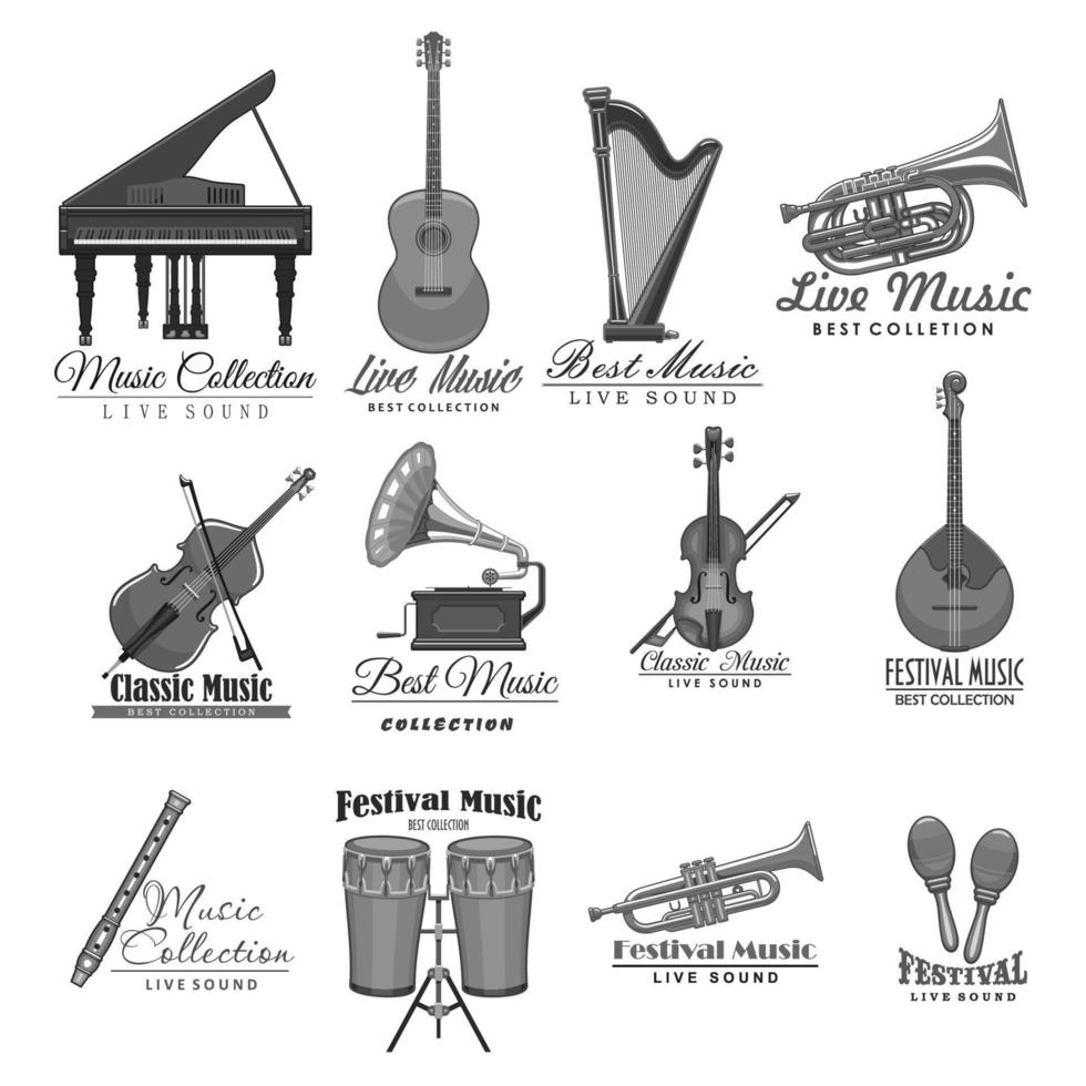 vector musical instrumenten pictogrammen van muziek- festival