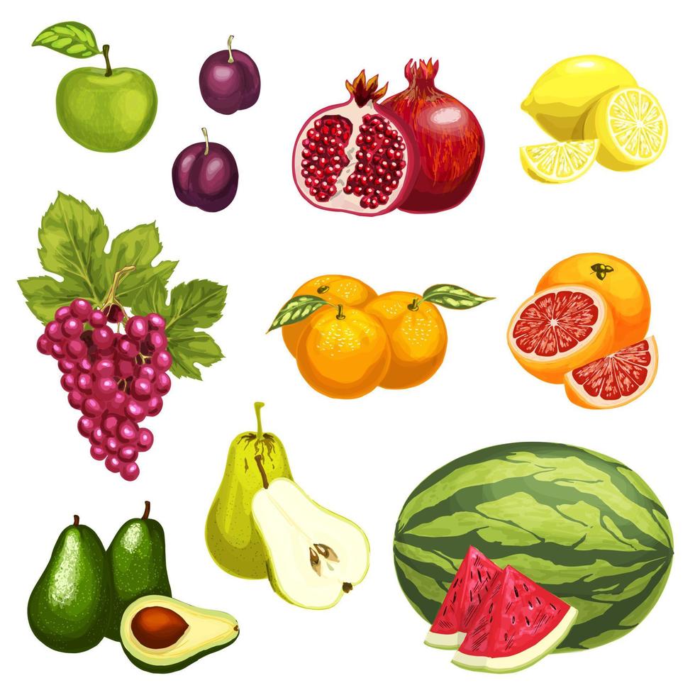 vector vlak pictogrammen van tropisch exotisch fruit