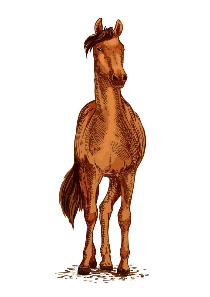 paard bruin mustang vector schetsen symbool