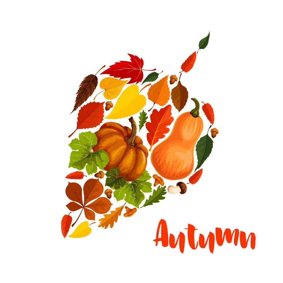 herfst vector pompoen blad gebladerte groet poster