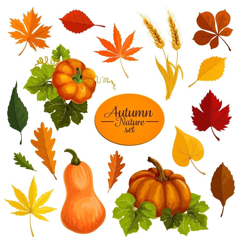 herfst vector pictogrammen van blad vallen en oogst