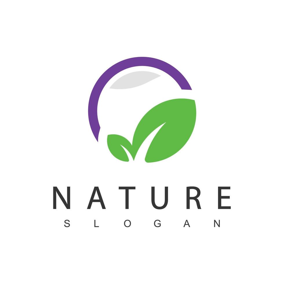 natuur logo ontwerp sjabloon, schoonheid concept gebruik makend van blad icoon voor spa, huidverzorging, en kunstmatig vector